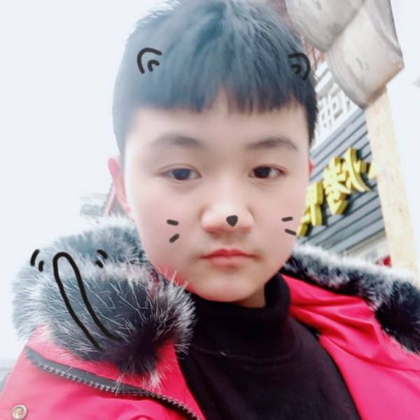 寂寞老鼠的照片