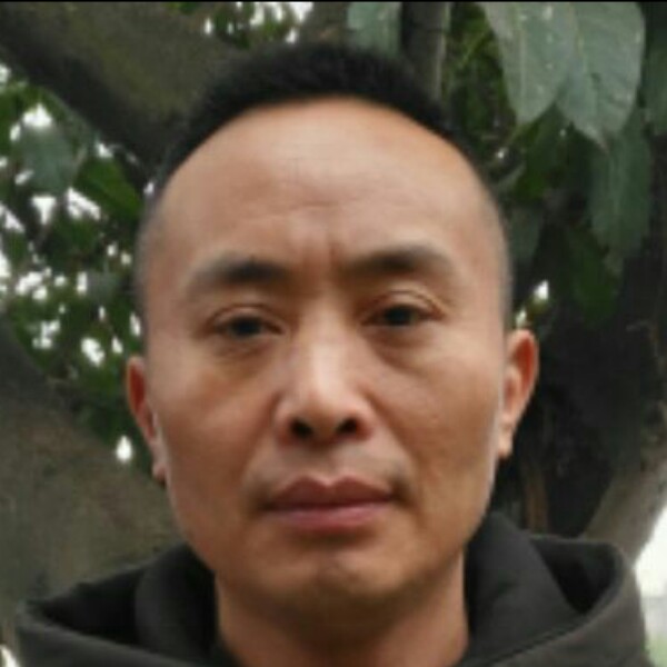 星星邂逅搞怪的照片