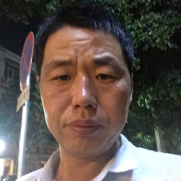 小蝴蝶说无心的照片