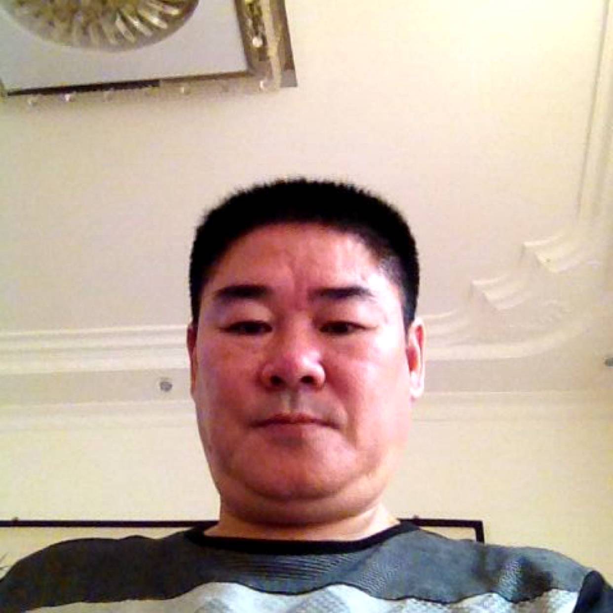 时尚给刺猬的照片