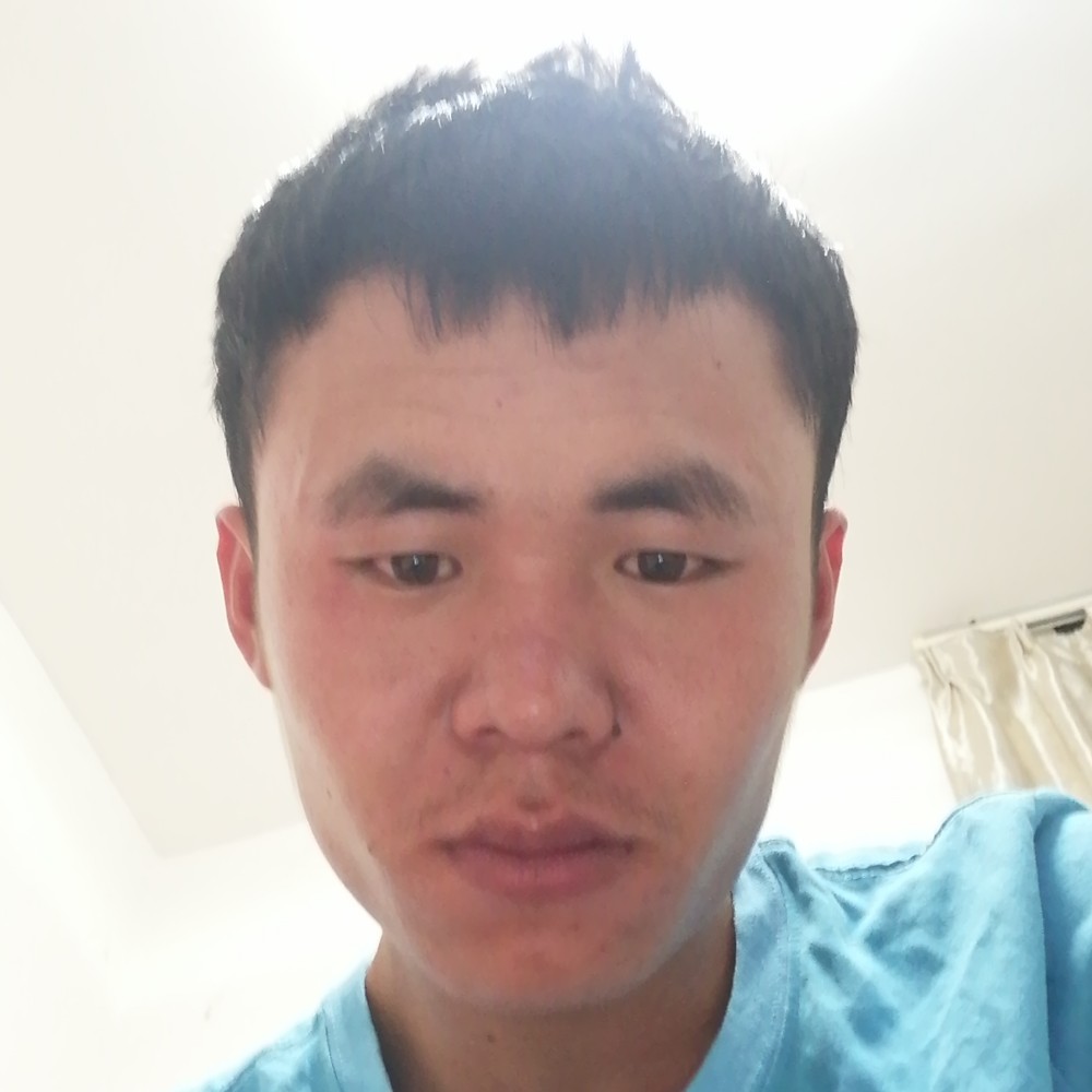 贪玩蝶舞的照片