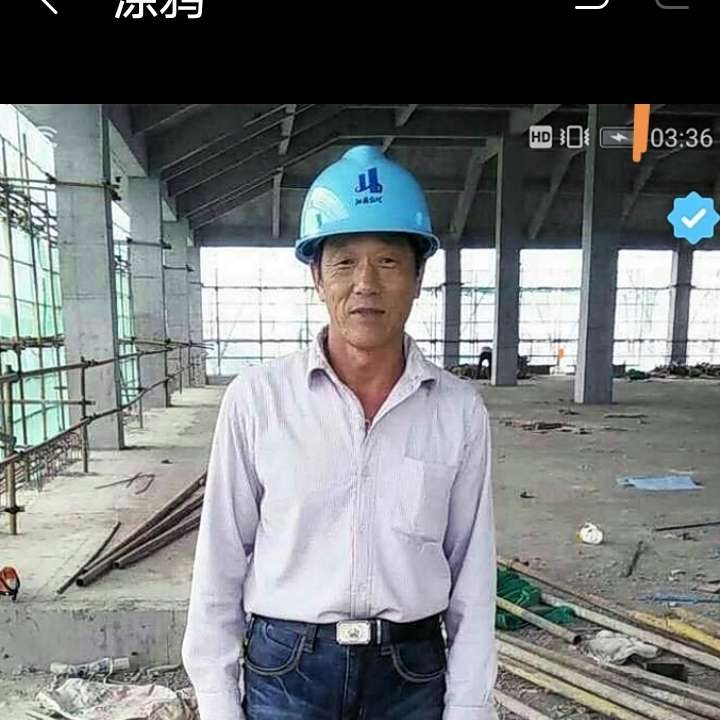 跟着蚂蚁看上树的照片