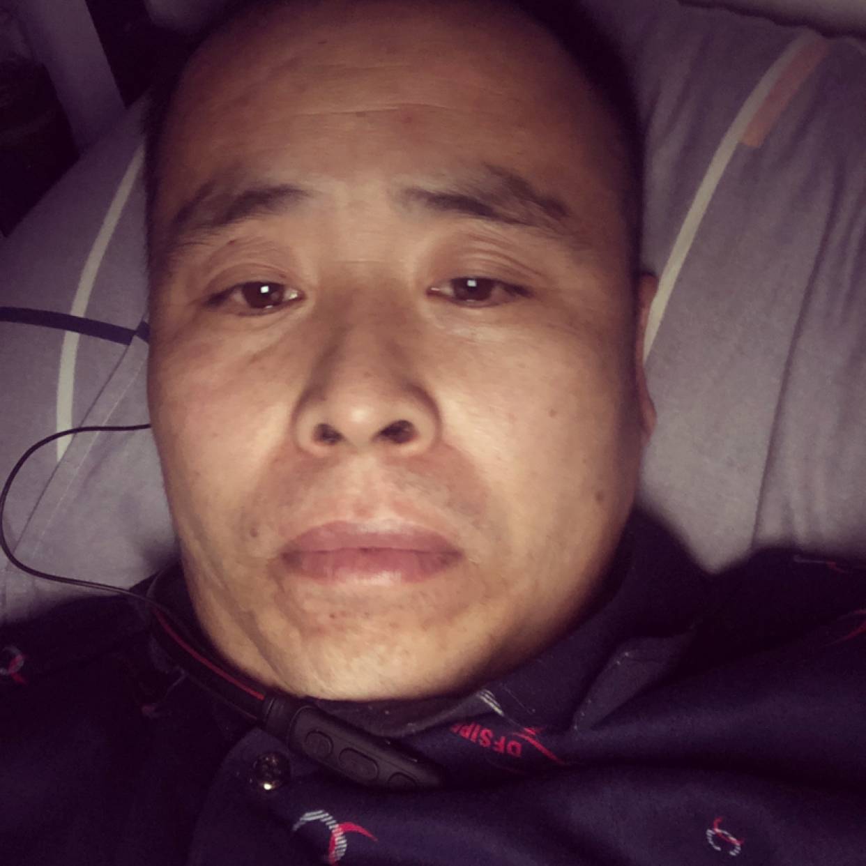 小海豚踢缠绵的照片