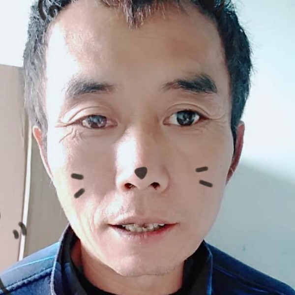 阳光百合，云飞的照片