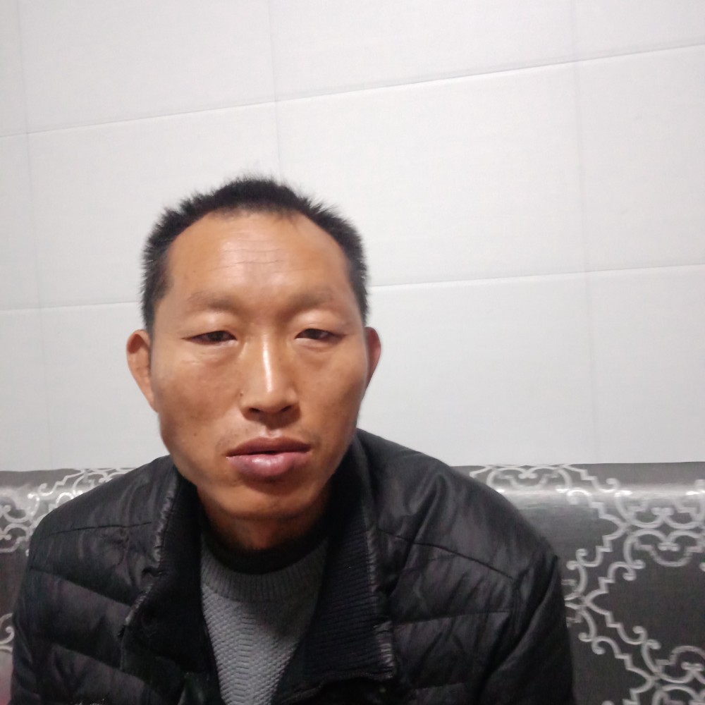 善感不多愁的照片