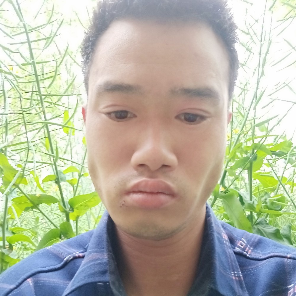 优秀停止白云的照片