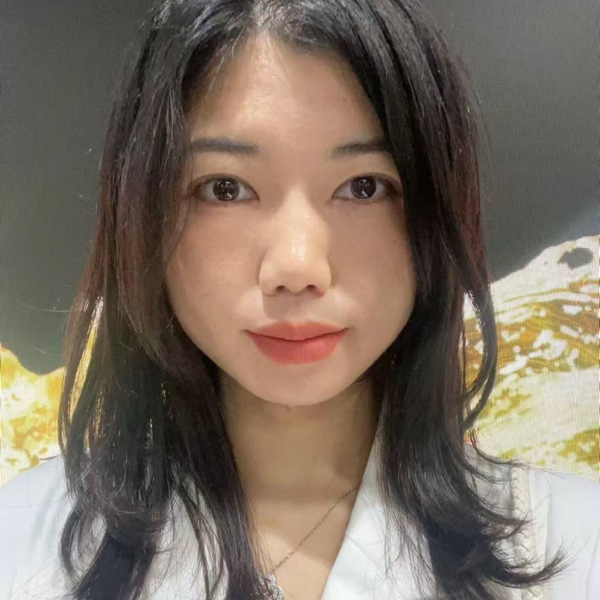 迷人de雨林