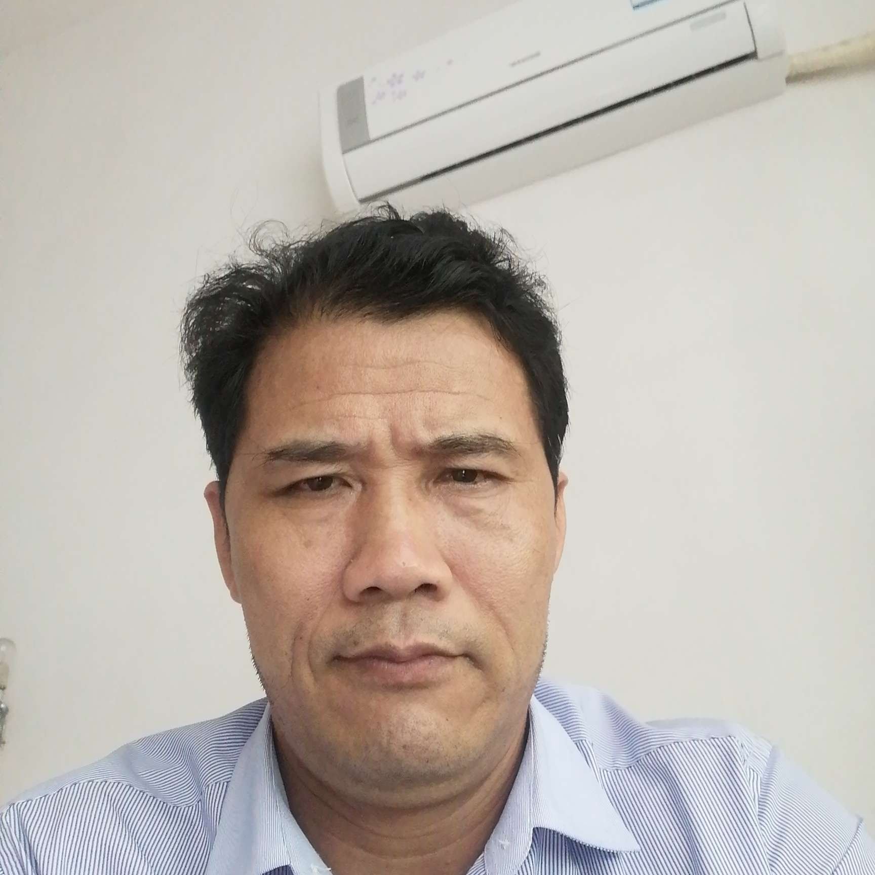 南极之星的照片
