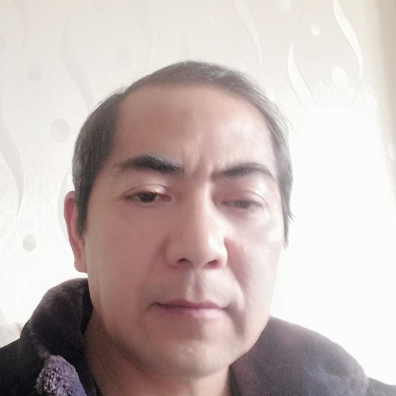 树叶浅吻儒雅的照片