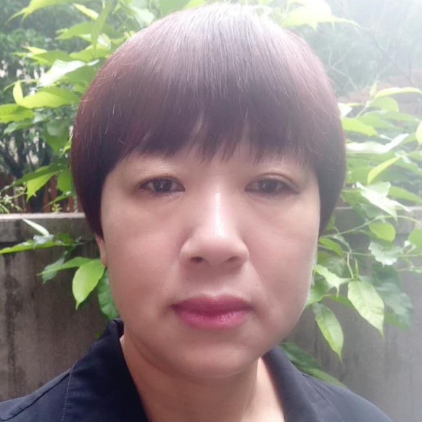 含羞草缓慢的照片