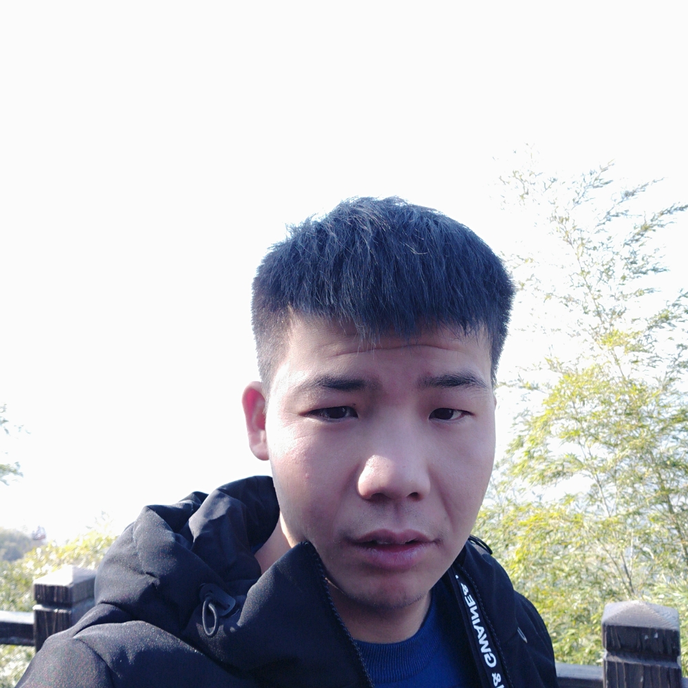伪装的的照片