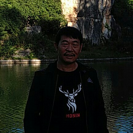 鲤鱼浮波的照片
