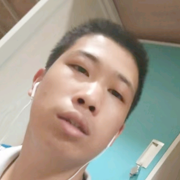 挺拔的东西的照片