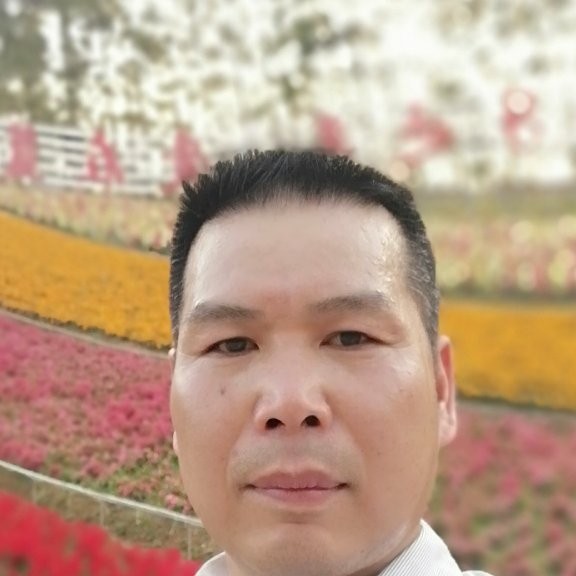 落寞等待乌龟的照片