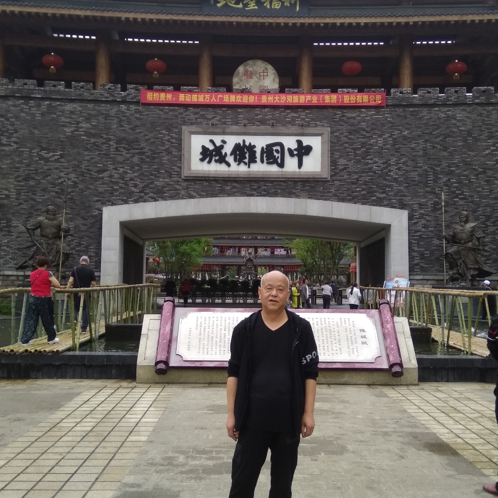 舒心多么康乃馨的照片