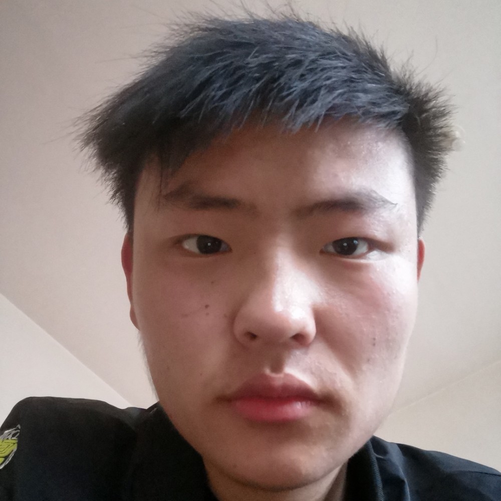 仙人掌明亮的照片