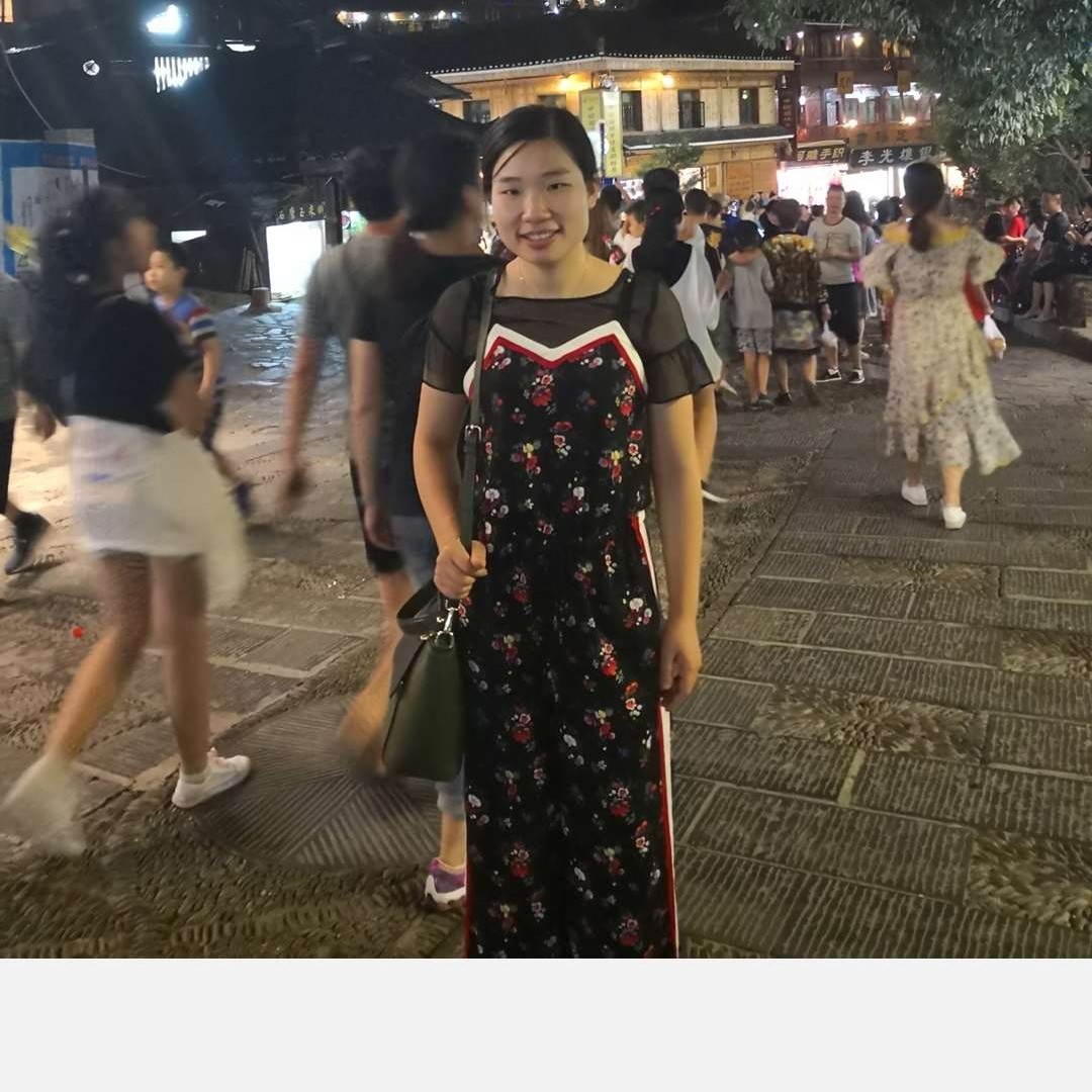 追太阳的花的照片