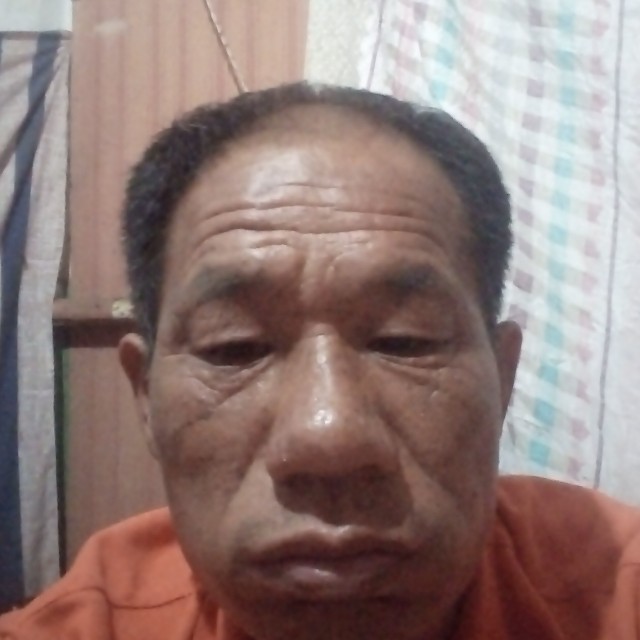 中心花痴的照片