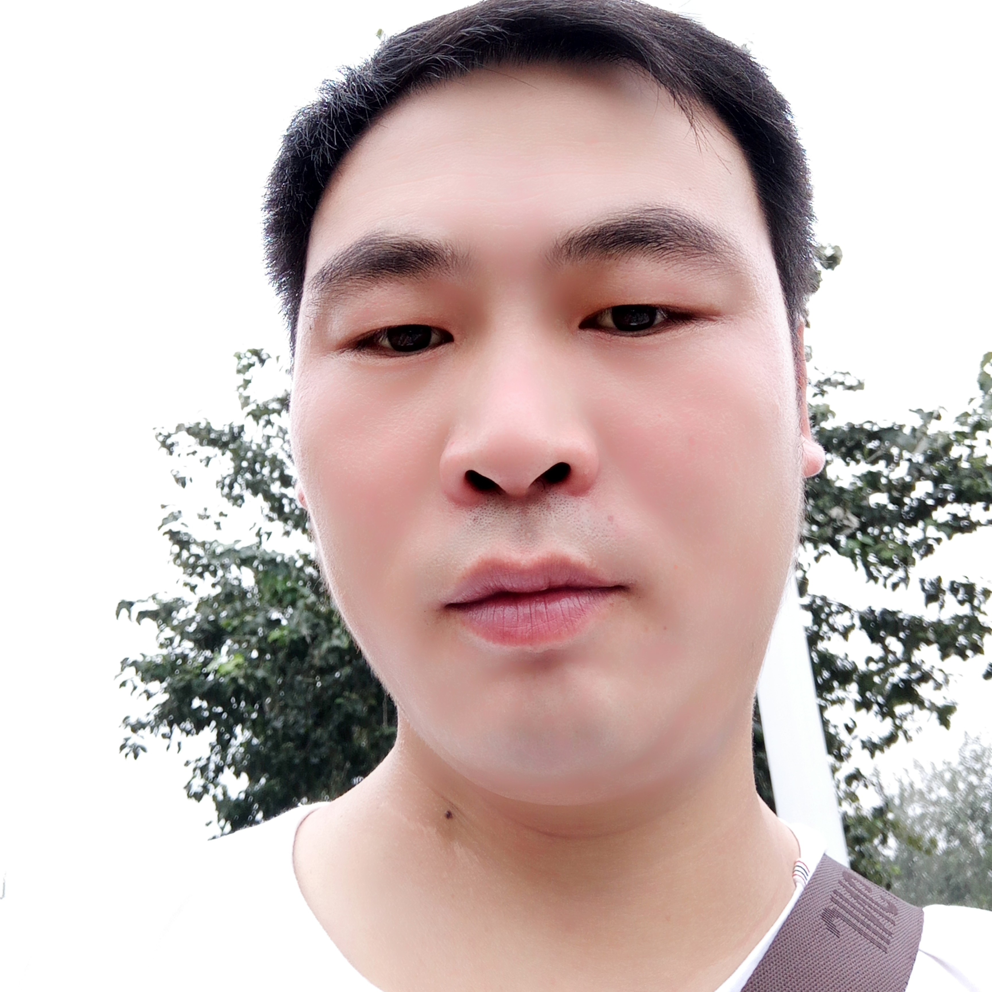 失忆的爱情的照片