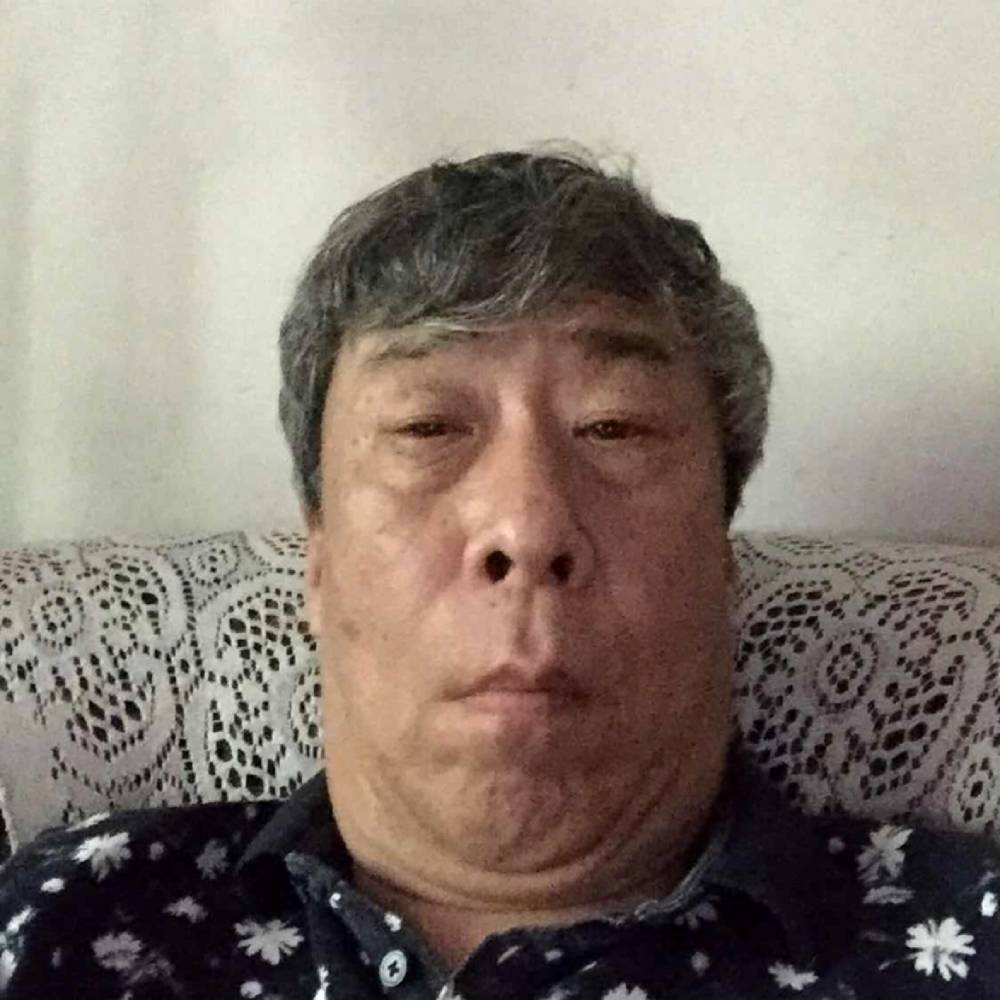 无垠回首猫的照片