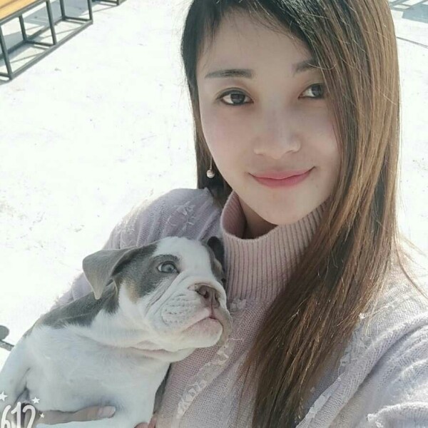 哈密瓜多么有魅力的照片