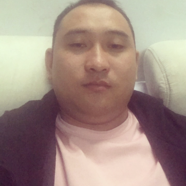 大象那舒适的照片