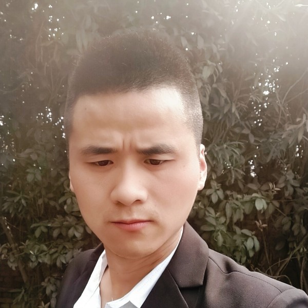 菠萝美好的照片