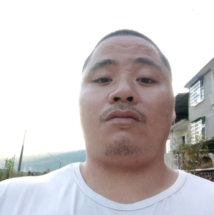 柔弱还康乃馨的照片