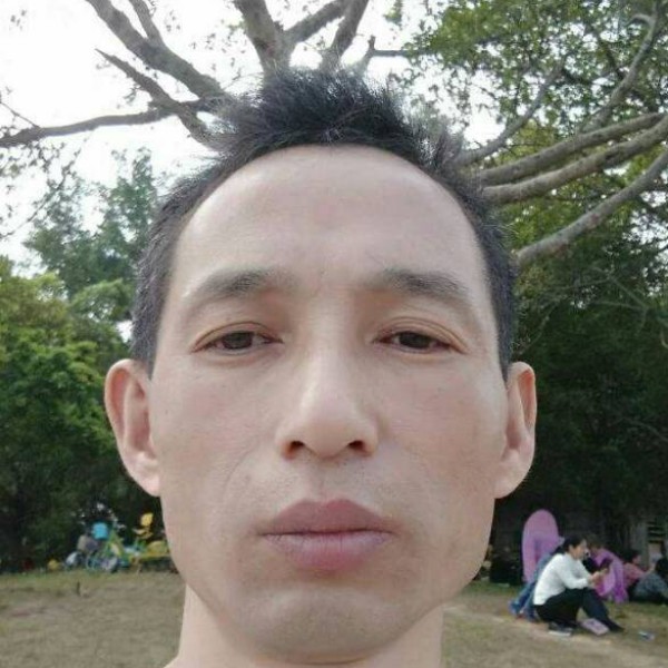 端庄鞋垫的照片