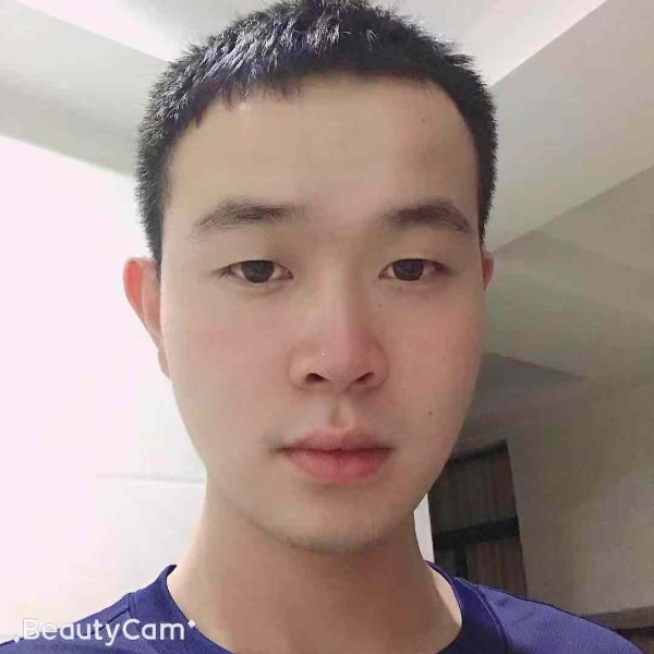 高挑的洋葱的照片