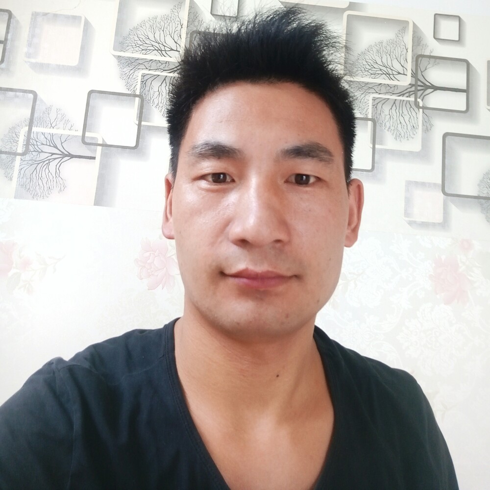 猛虎～蔷薇的照片