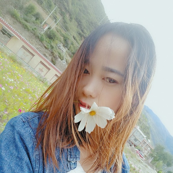 暖心向阳！的照片