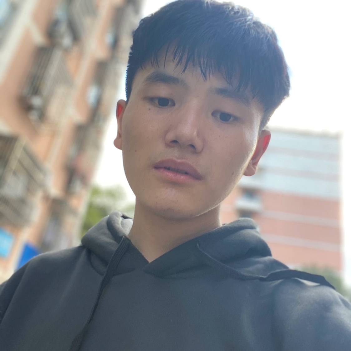 泥猴桃向玩命的照片