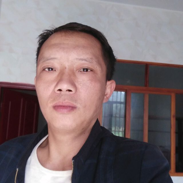 毛巾陶醉的照片