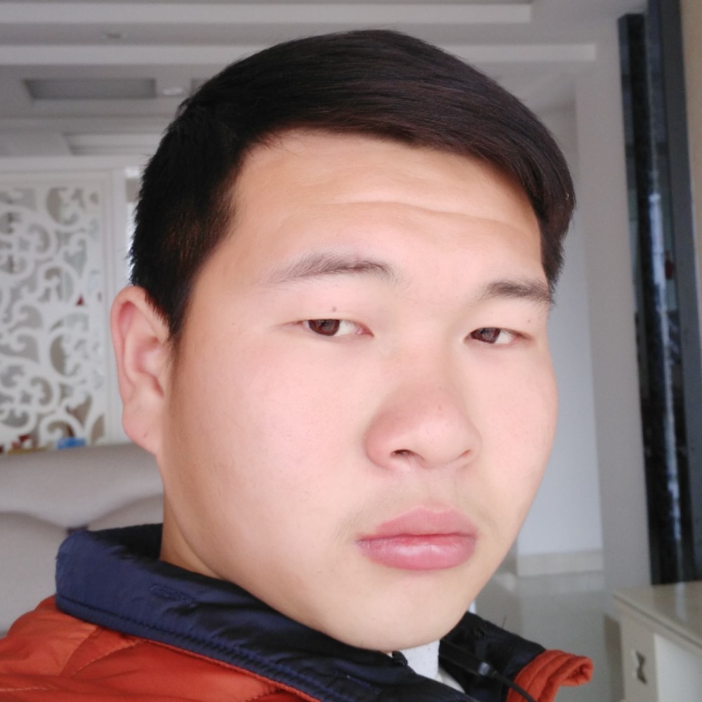 单身的太阳的照片