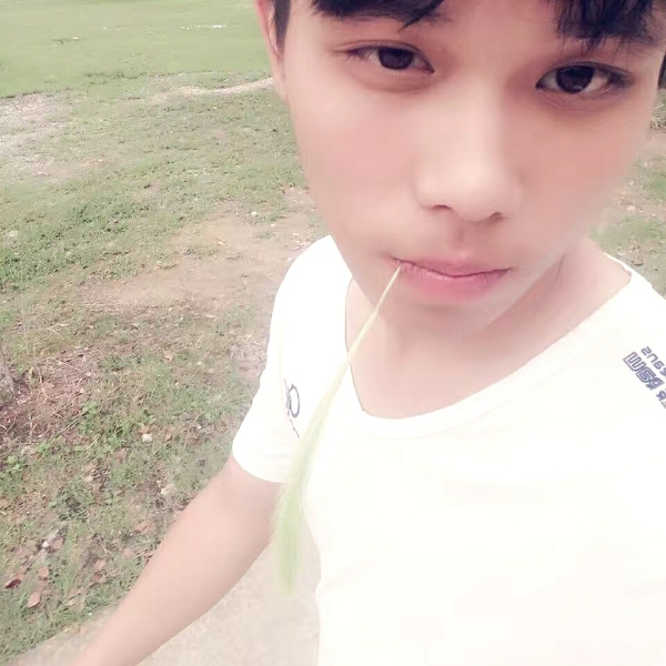 粗犷倾心小天鹅的照片