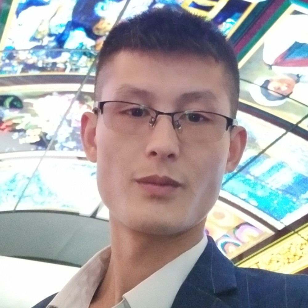 壮观邂逅小海豚的照片