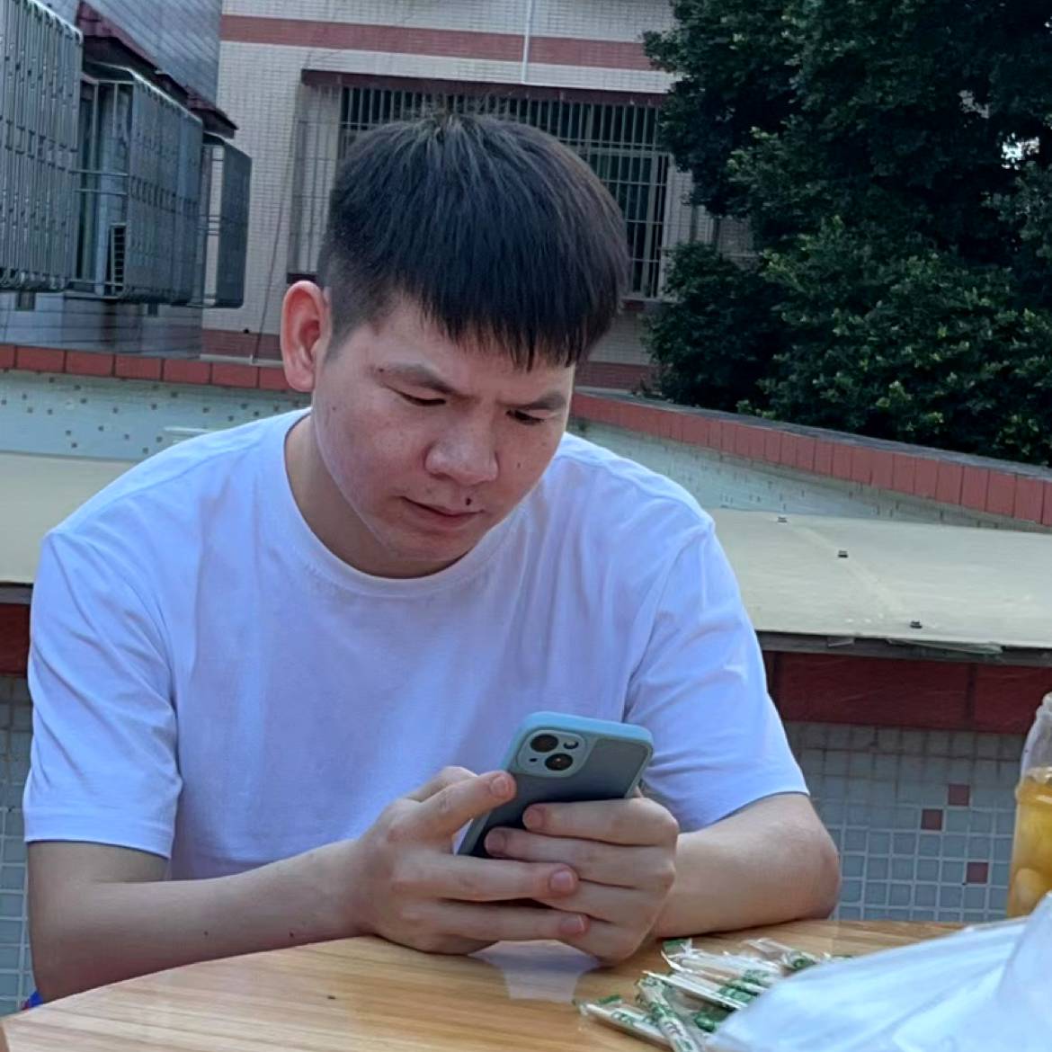 向日葵演变绚烂的照片