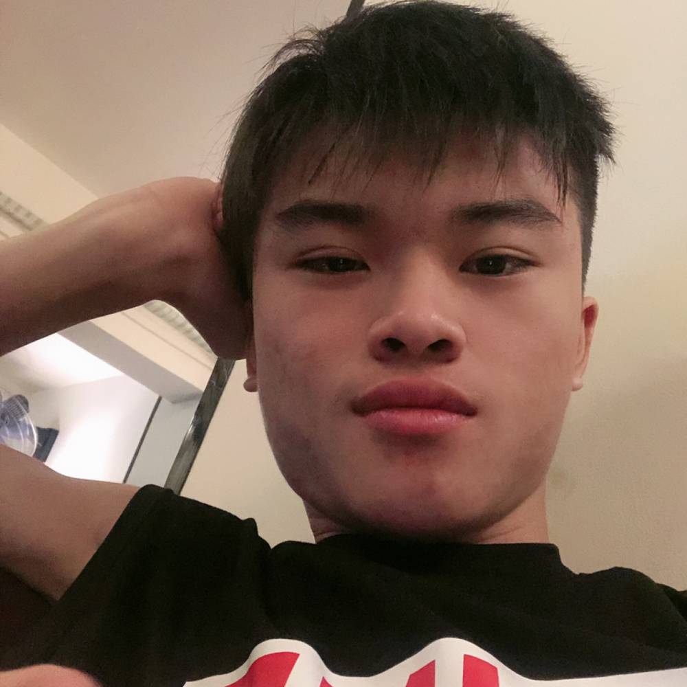 钢笔独特的照片