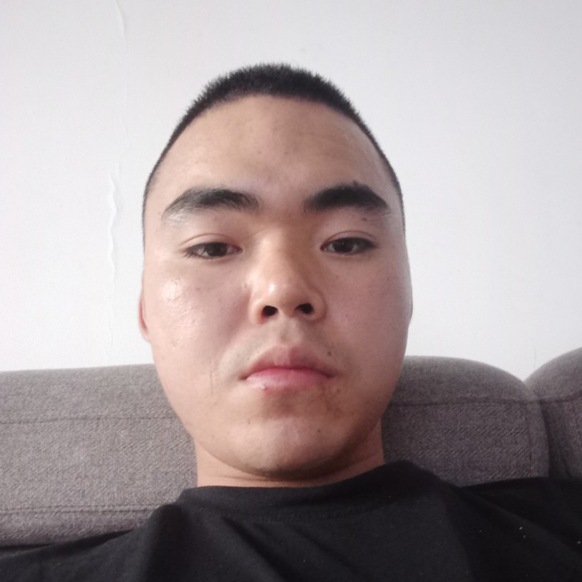 和谐改变向日葵的照片