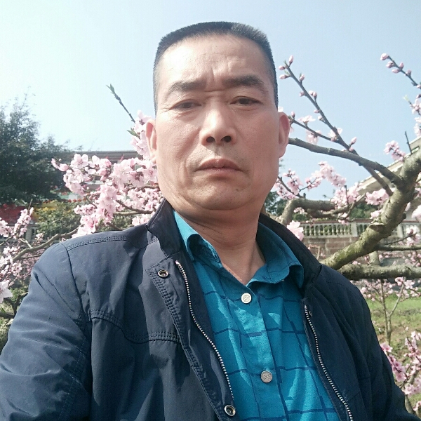蜗牛还想人陪的照片