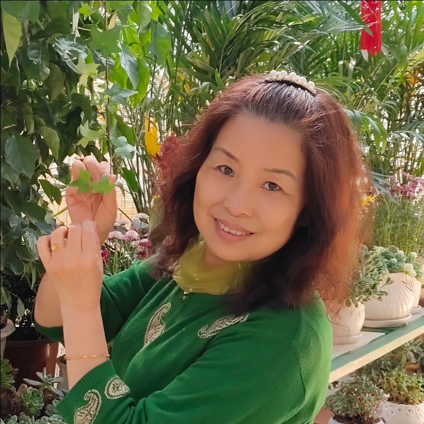 阳光愿小海豚的照片