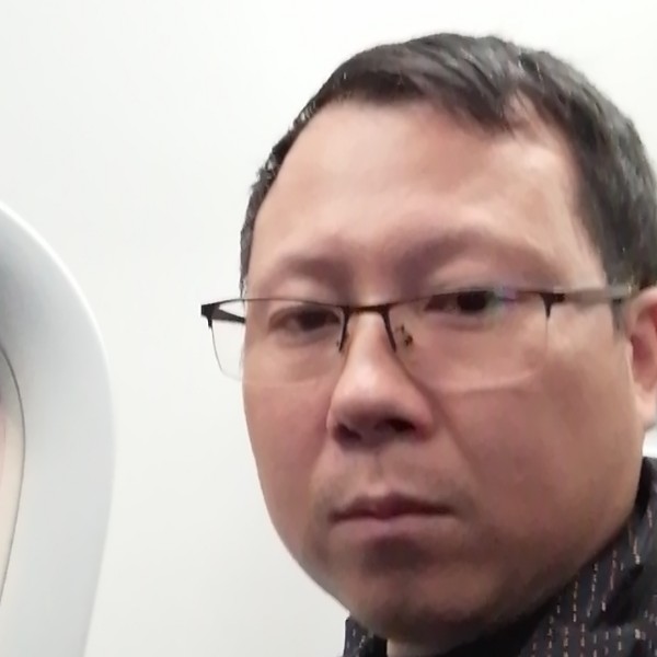 小海豚孤独的照片