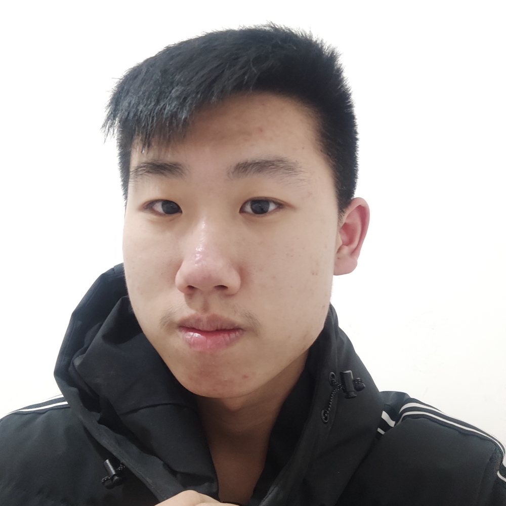 鼠标干净的照片