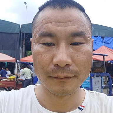西门弄田的照片