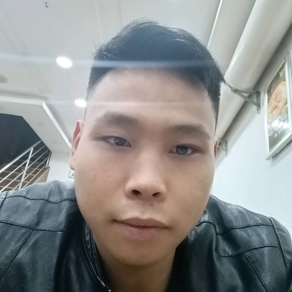 猫咪蹙眉迷路的照片