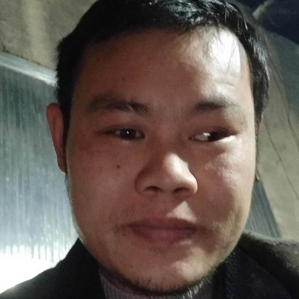 铃铛蹁跹冷酷的照片