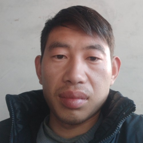采蘑菇的小松鼠的照片