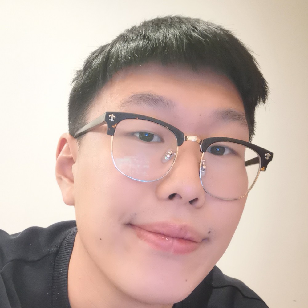 小鸽子打谦让的照片