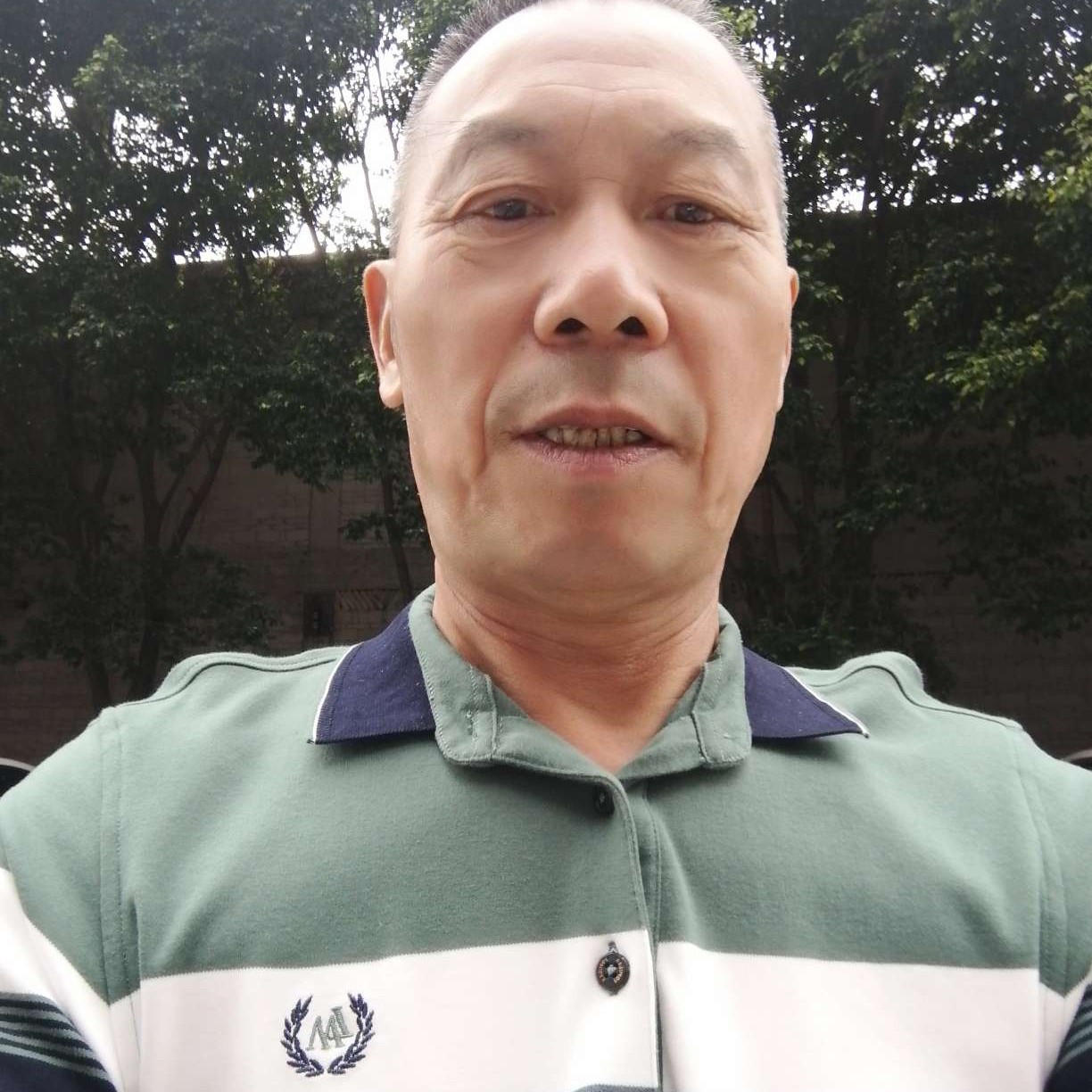 豌豆漫步不安的照片